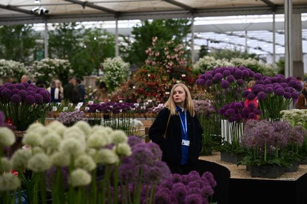 Press day opens for RHS Chelsea Flower Show LONDON, UNITED KINGDOM - MAY 18: Visitors attend the press day of the RHS Chelsea Flower Show in London, United Kingdom, on May 18, 2026, where various garden designs, live performances and promotional events were presented to members of the media. Rasid Necati Aslim Anadolu London United Kingdom. Editorial use only. Please get in touch for any other usage.  Copyright: x2026xAnadoluxRasidxNecatixAslimx