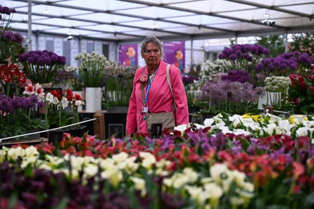 Press day opens for RHS Chelsea Flower Show LONDON, UNITED KINGDOM - MAY 18: Visitors attend the press day of the RHS Chelsea Flower Show in London, United Kingdom, on May 18, 2026, where various garden designs, live performances and promotional events were presented to members of the media. Rasid Necati Aslim Anadolu London United Kingdom. Editorial use only. Please get in touch for any other usage.  Copyright: x2026xAnadoluxRasidxNecatixAslimx