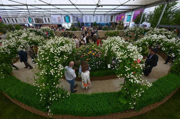 Press day opens for RHS Chelsea Flower Show LONDON, UNITED KINGDOM - MAY 18: Visitors attend the press day of the RHS Chelsea Flower Show in London, United Kingdom, on May 18, 2026, where various garden designs, live performances and promotional events were presented to members of the media. Rasid Necati Aslim Anadolu London United Kingdom. Editorial use only. Please get in touch for any other usage.  Copyright: x2026xAnadoluxRasidxNecatixAslimx