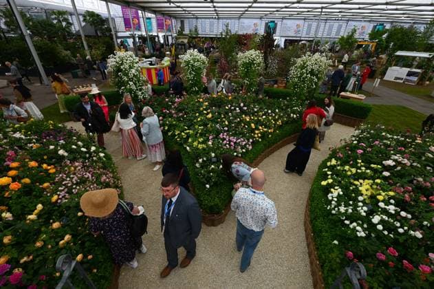 Press day opens for RHS Chelsea Flower Show LONDON, UNITED KINGDOM - MAY 18: Visitors attend the press day of the RHS Chelsea Flower Show in London, United Kingdom, on May 18, 2026, where various garden designs, live performances and promotional events were presented to members of the media. Rasid Necati Aslim Anadolu London United Kingdom. Editorial use only. Please get in touch for any other usage.  Copyright: x2026xAnadoluxRasidxNecatixAslimx