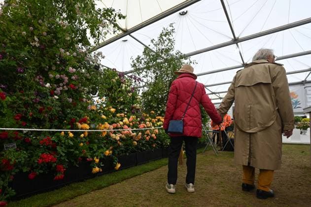 Press day opens for RHS Chelsea Flower Show LONDON, UNITED KINGDOM - MAY 18: Visitors attend the press day of the RHS Chelsea Flower Show in London, United Kingdom, on May 18, 2026, where various garden designs, live performances and promotional events were presented to members of the media. Rasid Necati Aslim Anadolu London United Kingdom. Editorial use only. Please get in touch for any other usage.  Copyright: x2026xAnadoluxRasidxNecatixAslimx