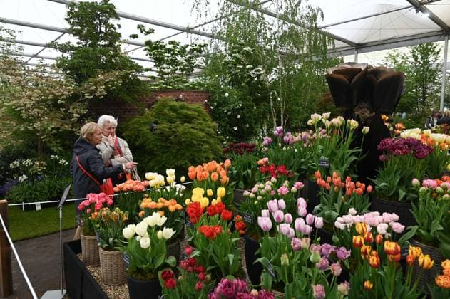 Press day opens for RHS Chelsea Flower Show LONDON, UNITED KINGDOM - MAY 18: Visitors attend the press day of the RHS Chelsea Flower Show in London, United Kingdom, on May 18, 2026, where various garden designs, live performances and promotional events were presented to members of the media. Rasid Necati Aslim Anadolu London United Kingdom. Editorial use only. Please get in touch for any other usage.  Copyright: x2026xAnadoluxRasidxNecatixAslimx