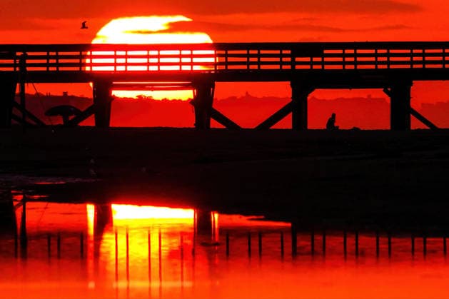 May 18, 2026, Isle Of Palms, Sc, United States: Beachgoers silhouetted by the sunrise over the Atlantic Ocean on Front Beach, May 18, 2026 in Isle of Palms, South Carolina. Isle Of Palms United States - ZUMAe02_ 20260518_zaf_e02_001 Copyright: xRichardxEllisx