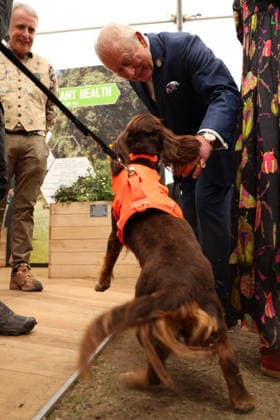 . 18 05 2026. London, United Kingdom. King Charles III and Queen Camilla at the Chelsea Flower Show in London.  xPoolx xi-Imagesx IIM-26784-0014