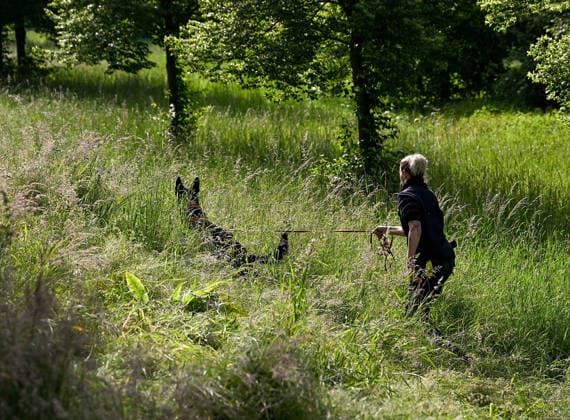 19 05 2026, xpsx, local Hanau murder of woman, v l murder August Schärtner Straße, Hanau Hessen Germany DEU