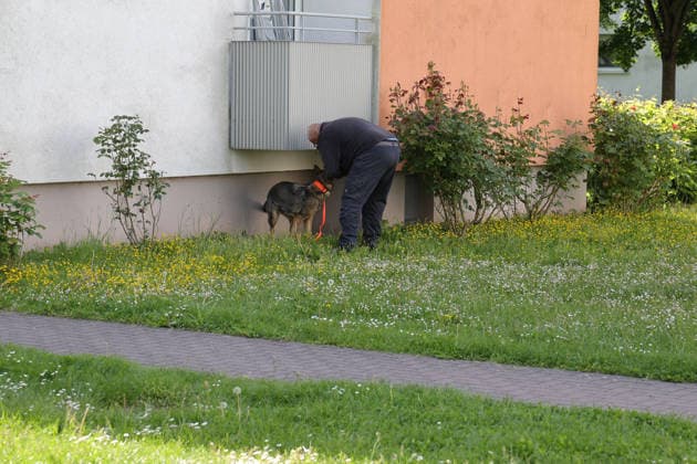 Woman found dead in front of apartment building 23-year-ol