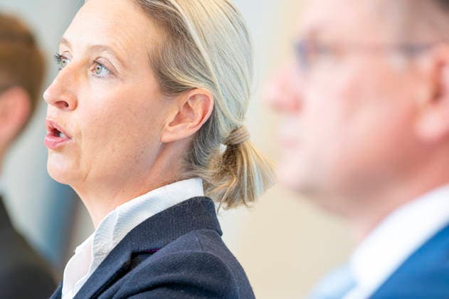 Alice Weidel EUR, Germany, Berlin, 19 05 2026 Press statement by Alice Weidel Co-Chairwoman of the AfD parliamentary group in the Bundestag
