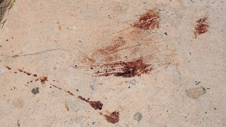 A 25-year-old man arrested for shooting his parents to death in El Ejido Almeria Image of the area known as El Canalillo, near Balanegra, in El Ejido where the event took place whose investigation points to an episode of domestic violence On May 19, 2026 in El Ejido, Almeria Andalusia, Spain A 25-year-old man has been arrested for allegedly shooting his parents to death in El Ejido Almeria and wounding four other people, including their seven-month-old baby and a 21-month-old girl, both of whom are in the pediatric ICU of the Hospital Materno Infantil Princesa Leonor 19 MAY 2026 Europa Press 19 05 2026 El Ejido, Almeria Andalucia, Es El Ejido, Almeria Andalucia, Es Espana  Copyright: xEuropaxPressx 7534931