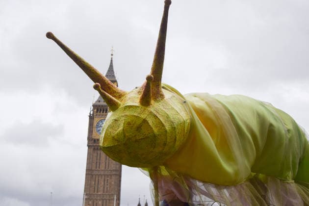 May 19, 2026, London, England, United Kingdom: Activists hold a large model slug in Parliament Square during the march for ancient woodland restoration. Organised by the campaign group Wild Card, the protesters marched to the Department for Environment, Food and Rural Affairs (DEFRA) calling on the government to restore so-called ghost woods , remains of ancient ecosystems buried beneath timber plantations. London United Kingdom  - ZUMAv130 20260519_zip_v130_047 Copyright: xVukxValcicx