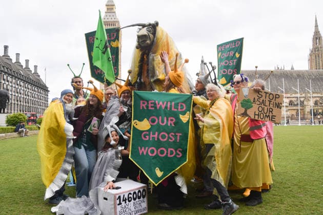 May 19, 2026, London, England, United Kingdom: Activists wearing slug costumes gather in Parliament Square during the march for ancient woodland restoration. Organised by the campaign group Wild Card, the protesters marched to the Department for Environment, Food and Rural Affairs (DEFRA) calling on the government to restore so-called ghost woods , remains of ancient ecosystems buried beneath timber plantations.Parliament Square during the march for ancient woodland restoration. Organised by the campaign group Wild Card, the protesters marched to the Department for Environment, Food and Rural Affairs (DEFRA) calling on the government to restore so-called ghost woods , remains of ancient ecosystems buried beneath timber plantations. Londo  - ZUMAv130 20260519_zip_v130_049 Copyright: xVukxValcicx