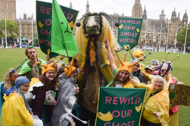 May 19, 2026, London, England, United Kingdom: Activists wearing slug costumes gather in Parliament Square during the march for ancient woodland restoration. Organised by the campaign group Wild Card, the protesters marched to the Department for Environment, Food and Rural Affairs (DEFRA) calling on the government to restore so-called ghost woods , remains of ancient ecosystems buried beneath timber plantations.Parliament Square during the march for ancient woodland restoration. Organised by the campaign group Wild Card, the protesters marched to the Department for Environment, Food and Rural Affairs (DEFRA) calling on the government to restore so-called ghost woods , remains of ancient ecosystems buried beneath timber plantations. Londo  - ZUMAv130 20260519_zip_v130_050 Copyright: xVukxValcicx