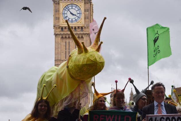 May 19, 2026, London, England, United Kingdom: Activists hold a large model slug in Parliament Square during the march for ancient woodland restoration. Organised by the campaign group Wild Card, the protesters marched to the Department for Environment, Food and Rural Affairs (DEFRA) calling on the government to restore so-called ghost woods , remains of ancient ecosystems buried beneath timber plantations. London United Kingdom  - ZUMAv130 20260519_zip_v130_057 Copyright: xVukxValcicx