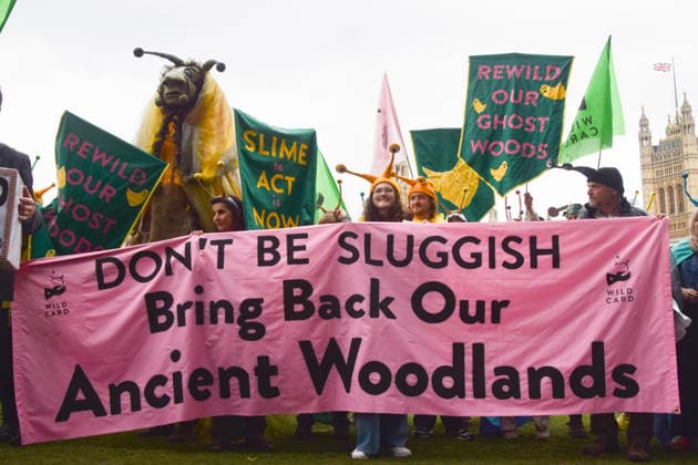 May 19, 2026, London, England, United Kingdom: Activists wearing slug costumes gather in Parliament Square during the march for ancient woodland restoration. Organised by the campaign group Wild Card, the protesters marched to the Department for Environment, Food and Rural Affairs (DEFRA) calling on the government to restore so-called ghost woods , remains of ancient ecosystems buried beneath timber plantations. London United Kingdom  - ZUMAv130 20260519_zip_v130_055 Copyright: xVukxValcicx