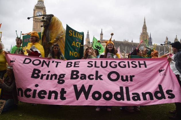 May 19, 2026, London, England, United Kingdom: Activists wearing slug costumes gather in Parliament Square during the march for ancient woodland restoration. Organised by the campaign group Wild Card, the protesters marched to the Department for Environment, Food and Rural Affairs (DEFRA) calling on the government to restore so-called ghost woods , remains of ancient ecosystems buried beneath timber plantations. London United Kingdom - ZUMAv130 20260519_zip_v130_060 Copyright: xVukxValcicx