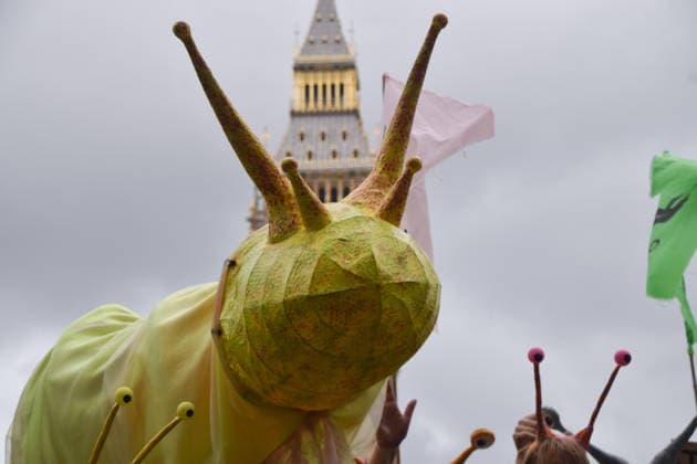 May 19, 2026, London, England, United Kingdom: Activists hold a large model slug in Parliament Square during the march for ancient woodland restoration. Organised by the campaign group Wild Card, the protesters marched to the Department for Environment, Food and Rural Affairs (DEFRA) calling on the government to restore so-called ghost woods , remains of ancient ecosystems buried beneath timber plantations. London United Kingdom - ZUMAv130 20260519_zip_v130_058 Copyright: xVukxValcicx