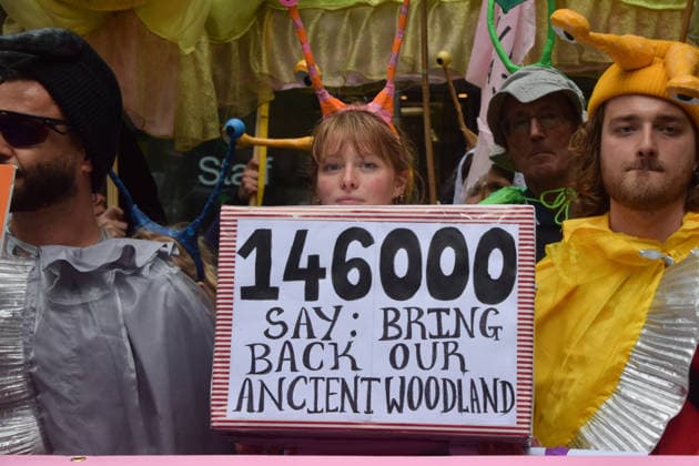 May 19, 2026, London, England, United Kingdom: An activist holds a petition box outtside DEFRA during the march for ancient woodland restoration. Organised by the campaign group Wild Card, the protesters marched to the Department for Environment, Food and Rural Affairs (DEFRA) calling on the government to restore so-called ghost woods , remains of ancient ecosystems buried beneath timber plantations. London United Kingdom - ZUMAv130 20260519_zip_v130_076 Copyright: xVukxValcicx