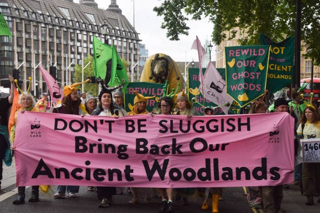 May 19, 2026, London, England, United Kingdom: Activists wearing slug costumes march in Westminster during the protest for ancient woodland restoration. Organised by the campaign group Wild Card, the protesters marched to the Department for Environment, Food and Rural Affairs (DEFRA) calling on the government to restore so-called ghost woods , remains of ancient ecosystems buried beneath timber plantations. London United Kingdom - ZUMAv130 20260519_zip_v130_074 Copyright: xVukxValcicx