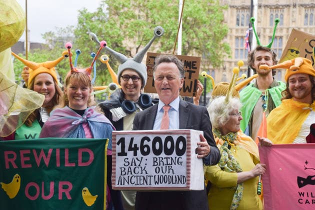 May 19, 2026, London, England, United Kingdom: ANDREW GEORGE, Liberal Democrat MP for St Ives, holds a petition box in Parliament Square during the march for ancient woodland restoration. Organised by the campaign group Wild Card, the protesters marched to the Department for Environment, Food and Rural Affairs (DEFRA) calling on the government to restore so-called ghost woods , remains of ancient ecosystems buried beneath timber plantations. London United Kingdom - ZUMAv130 20260519_zip_v130_073 Copyright: xVukxValcicx