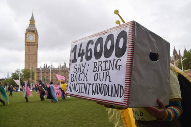 May 19, 2026, London, England, United Kingdom: An activist holds a petition box in Parliament Square during the march for ancient woodland restoration. Organised by the campaign group Wild Card, the protesters marched to the Department for Environment, Food and Rural Affairs (DEFRA) calling on the government to restore so-called ghost woods , remains of ancient ecosystems buried beneath timber plantations. London United Kingdom - ZUMAv130 20260519_zip_v130_070 Copyright: xVukxValcicx