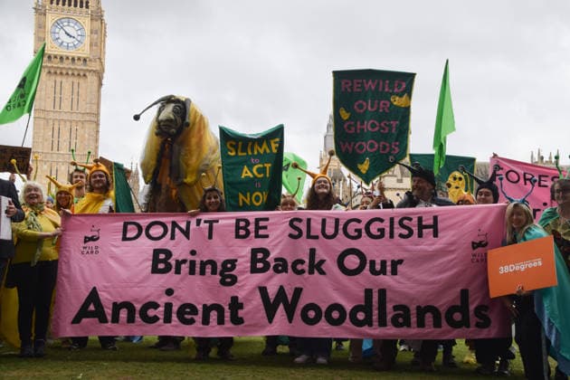 May 19, 2026, London, England, United Kingdom: Activists wearing slug costumes gather in Parliament Square during the march for ancient woodland restoration. Organised by the campaign group Wild Card, the protesters marched to the Department for Environment, Food and Rural Affairs (DEFRA) calling on the government to restore so-called ghost woods , remains of ancient ecosystems buried beneath timber plantations. London United Kingdom  - ZUMAv130 20260519_zip_v130_072 Copyright: xVukxValcicx