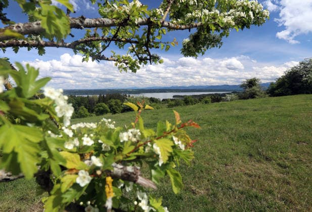 An early summer day near Tutzing, Starnberg district Here the view from the Ilkahöhe through flowering bushes to Lake Starnberg and the Alps ,hiking, walking, cycling, view, local recreation, Munich area, weather picture, excursion weather