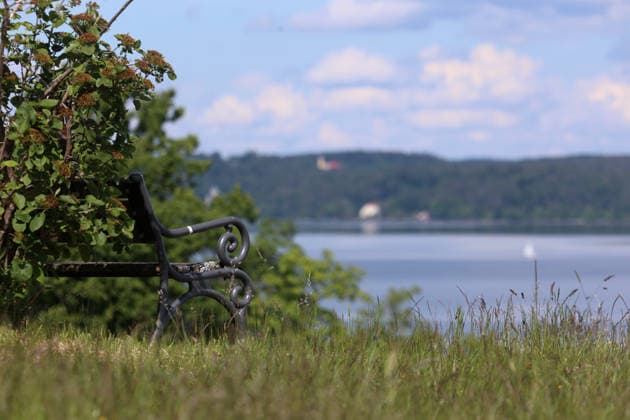 An early summer day near Tutzing, Starnberg district Here the view from Johannishügel in Kustermannpark to a park bench and Lake Starnberg ,hiking, walking, cycling, view, local recreation, Munich area, weather picture, excursion weather
