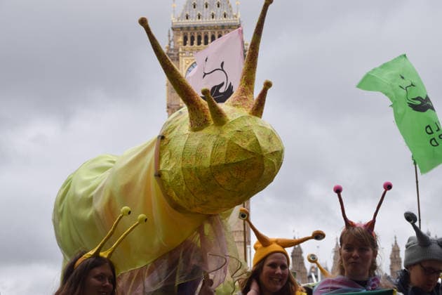 May 19, 2026, London, England, United Kingdom: Activists hold a large model slug in Parliament Square during the march for ancient woodland restoration. Organised by the campaign group Wild Card, the protesters marched to the Department for Environment, Food and Rural Affairs (DEFRA) calling on the government to restore so-called ghost woods , remains of ancient ecosystems buried beneath timber plantations. London United Kingdom  - ZUMAv130 20260519_zip_v130_097 Copyright: xVukxValcicx