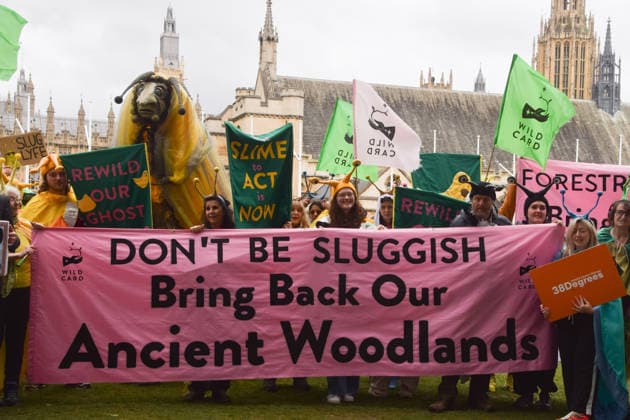 May 19, 2026, London, England, United Kingdom: Activists wearing slug costumes gather in Parliament Square during the march for ancient woodland restoration. Organised by the campaign group Wild Card, the protesters marched to the Department for Environment, Food and Rural Affairs (DEFRA) calling on the government to restore so-called ghost woods , remains of ancient ecosystems buried beneath timber plantations. London United Kingdom  - ZUMAv130 20260519_zip_v130_096 Copyright: xVukxValcicx