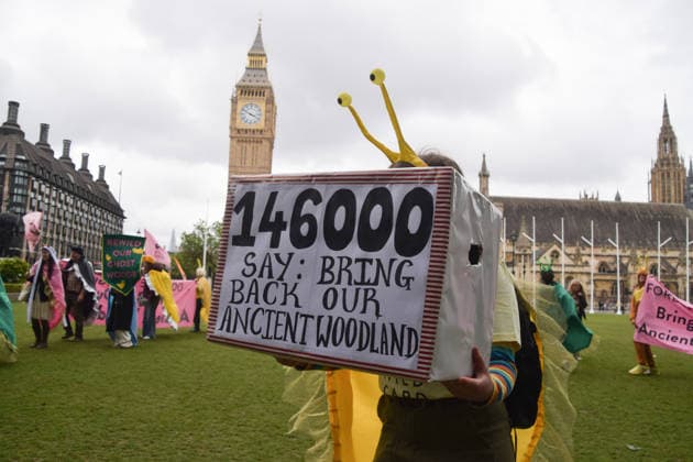 May 19, 2026, London, England, United Kingdom: An activist holds a petition box in Parliament Square during the march for ancient woodland restoration. Organised by the campaign group Wild Card, the protesters marched to the Department for Environment, Food and Rural Affairs (DEFRA) calling on the government to restore so-called ghost woods , remains of ancient ecosystems buried beneath timber plantations. London United Kingdom  - ZUMAv130 20260519_zip_v130_095 Copyright: xVukxValcicx