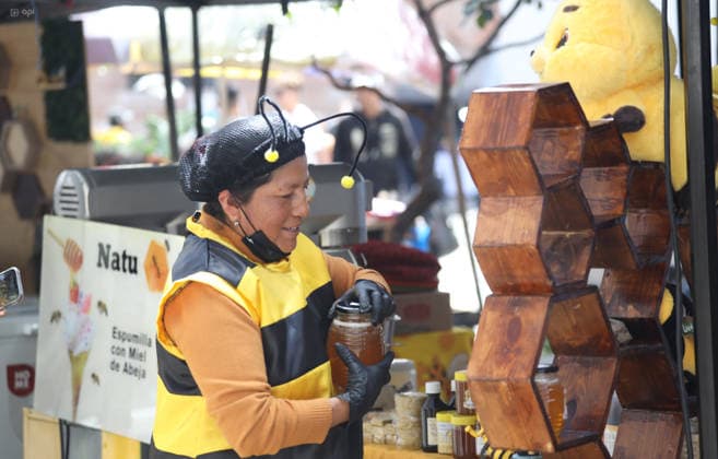 CUENCA COLMENA FEST 2026 Cuenca,Ecuador May 20, 2026 The third edition of Colmena Fest 2026 is being held in the park of flowers in Cuenca from May 20 to 23, 2026 This gastronomic, artisanal and productive festival seeks to commemorate World Bee Day and promote sustainable beekeeping in the region photo Boris Romoleroux API SOI CUENCA COLMENAFEST2026 33f13e5669052f77f0b758480d18ea92 Copyright: xBORISxROMOLEROUXx