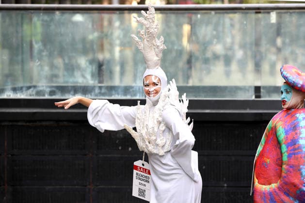 GREAT BARRIER REEF CORAL EXPORTS, Activist dressed as wild coral performing during the launch of an Australian Marine Conservation Society campaign to stop the Great Barrier ReefÕs commercial wild live coral exports, Sydney, Thursday, May 21, 2026.court. ( NO ARCHIVING SYDNEY NEW SOUTH WALES AUSTRALIA  Copyright: xJANExDEMPSTERx 20260521160572191510
