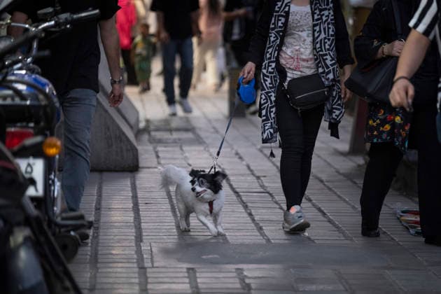Daily Life In Iran Amid Threat About New Possible War A young Iranian woman and her pet walk along a sidewalk in a business district in downtown Tehran, Iran, on May 22, 2026. U.S. President Donald Trump has indicated the possibility of military action against Iran if no agreement is reached with Iranian officials, according to official reports. Tehran Tehran Iran  Copyright: xMortezaxNikoubazlx originalFilename: nikoubazl-dailylif260522_npsjk