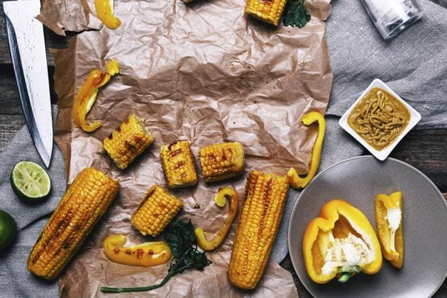 Köstlicher Mais auf dem Tisch Delicious corn on the table Copyright: imageBROKER YekoxPhotoxStudio ibxiqx17709979.jpg ,model released, Symbolfoto ,property released