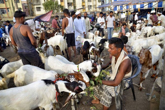 News Bilder des Tages Livestock vendors sell their goats at a Bakri bazaar ahead of the Eid al-Adha festival Patna, May 24 (ANI): Livestock vendors wait for customers to sell their goats at a Bakri bazaar ahead of the Eid al-Adha festival, in Patna on Sunday. Patna Bihar India Copyright: xANIx ANI_20260524053