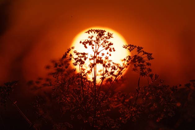 Warm May weather in the Taunus View from the Großer Feldberg in the Taunus into the sunset , Schmitten Hessen Germany