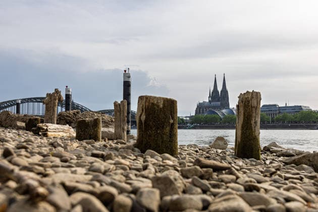 Low water in Cologne 29 05 2026 Low water on the Rhine in Cologne Deutz At a Rhine level of 148 cm at the Cologne gauge, gravel areas and old wooden piles are exposed on the right bank of the Rhine The wooden piles become visible at low water their exact historical classification is not clear Cologne Cathedral and the Copyright: xMarcxJohnx