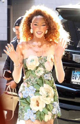 NEW YORK, NY - JUNE 1: Winnie Harlow seen in New York City on June 1, 2026. Copyright: xRWx
