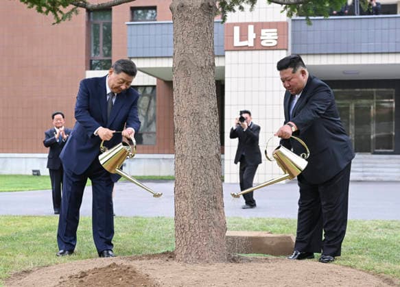 (260609) -- PYONGYANG, June 9, 2026 -- Xi Jinping, general secretary of the Communist Party of China Central Committee and Chinese president, and Kim Jong Un, general secretary of the Workers Party of Korea (WPK) and president of the State Affairs of the Democratic People s Republic of Korea (DPRK), jointly plant a fir tree in the wooded area between teaching buildings of the Central Cadres Training School of the WPK in Pyongyang, the DPRK, June 9, 2026. On Tuesday morning, Xi, accompanied by Kim, visited the Central Cadres Training School of the WPK in Pyongyang. ) DPRK-PYONGYANG-CHINA-XI JINPING-WPK-CENTRAL CADRES TRAINING SCHOOL YanxYan