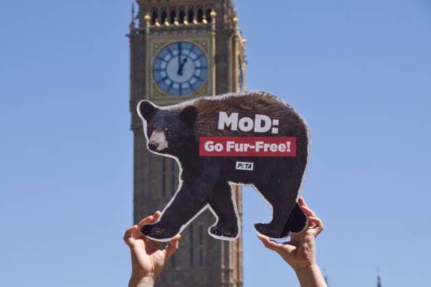 June 17, 2026, London, England, United Kingdom: An activist holds up a bear-shaped placar during a PETA campaign in Parliament Square urging the Ministry of Defence to stop using bearskin in Royal Guards ceremonial caps and to switch to a faux fur alternative. London United Kingdom  - ZUMAv130 20260617_zip_v130_013 Copyright: xVukxValcicx