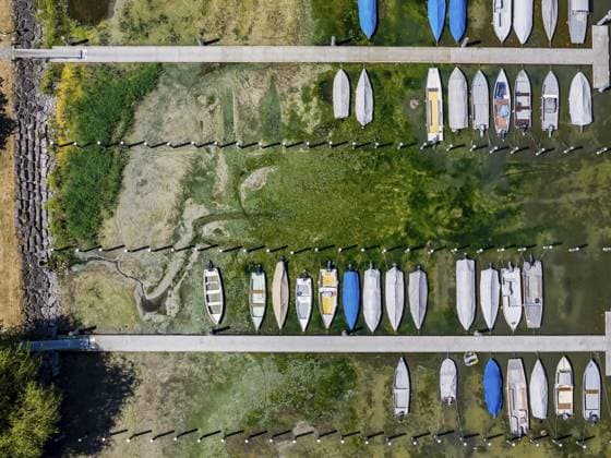 Trockenheit am Bodensee. Der Yachthafen von Mannenbach-Salenstein im Kanton Thurgau liegt fast vollständig trocken. Boote liegen am Liegeplatz am Bootssteg auf dem Trockenen und kommen nicht mehr ins Wasser. Luftbild. Mannenbach-Salenstein, Kanton Thurgau, Schweiz Drought on Lake Constance. The marina of Mannenbach-Salenstein in the canton of Thurgau is almost completely dry. Boats are dry at the dock and can no longer get into the water. aerial view. Mannenbach-Salenstein, Canton of Thurgau, Switzerland Copyright: imageBROKER ArnulfxHettrich ibxhet18392863