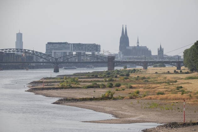 Low water levels in Cologne: A view of Cologne from the Rodenkirchen Rhine Bridge in the summer heat. The ongoing drought has caused the Rhine s water level at Cologne to drop to 100 cm. In the background are the Kranhäuser and Cologne Cathedral. Cologne, North Rhine-Westphalia, Germany Copyright: xMarcxJohnx
