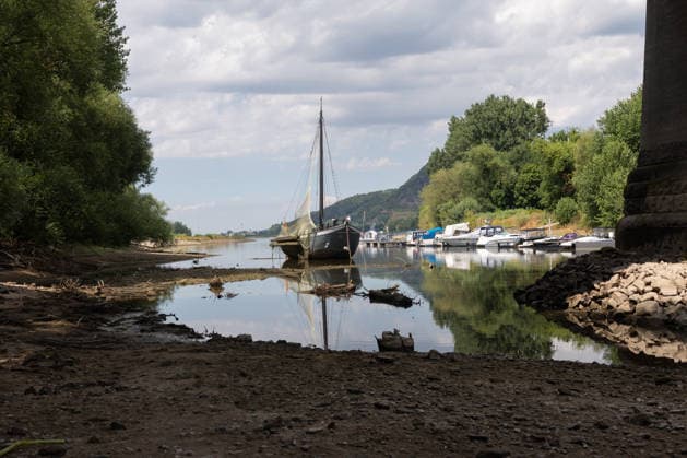 Low Water Levels on the Rhine: Heat Wave and Drought Cause Water Levels to Drop Grafenwerth Island: The eel boat Aranka, which is nearly aground in the dead arm of the Rhine Low water levels on the Copyright: xMarcxJohnx