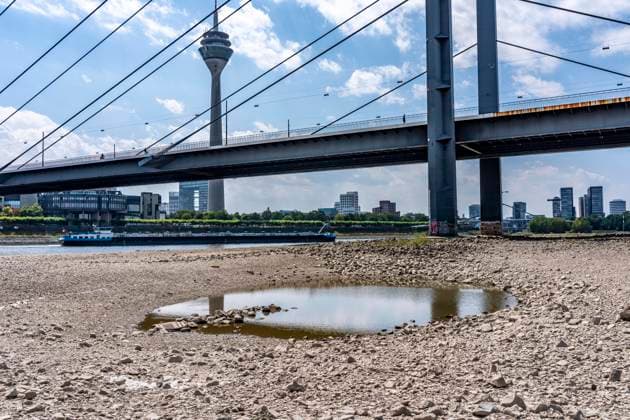 Dried-up riverbed, crumbly clods of earth, pools of residual water, extremely low water levels, Rhine water level at 41 cm, trending downward; freighters must sail with reduced cargo; following the long drought, the left bank of the Rhine—including the area near Düsseldorf-Oberkassel—is dry; Rheinknie Bridge, Rhine Tower, North Rhine-Westphalia, Germany; low water levels on the Rhine