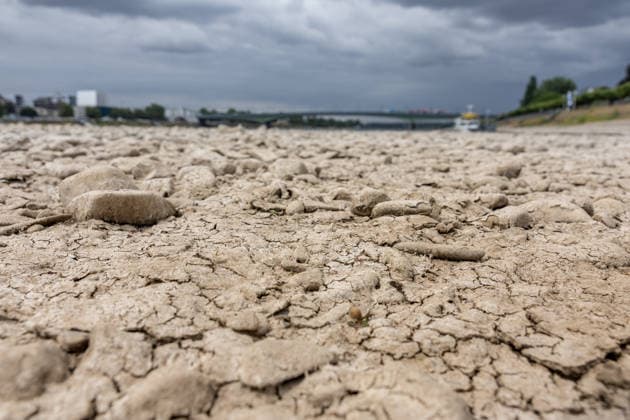 Low Water Levels on the Rhine in Bonn-Beuel Low Water Levels on the Rhine With the water level at the Bonn gauge station at 125 cm, the riverbed along the Beuel bank of the Rhine is dry except for the lower-lying navigation channel; view looking north toward the heavily trafficked Kennedy Bridge, with the closed Nordbrücke in the background. Friedrich Ebert Bridge, Bonn-Beuel, No Copyright: xMarcxJohnx
