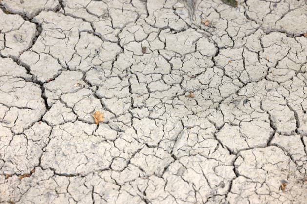 Illustrative image on the topic of severe drought: Parched, cracked soil near Siegen and Oberschelden. Summer in the Siegerland region on July 24, 2026, in Siegen, Germany
