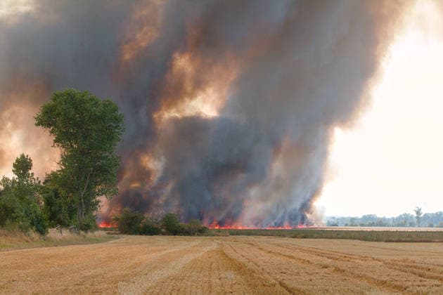 July 25, 2026 Field fire near Wadendorf, Zörbig, Anhalt-Bitterfeld, Saxony-Anhalt Second field fire between Wadendorf and Löberitz A field is ablaze Zörbig, Saxony-Anhalt, Germany