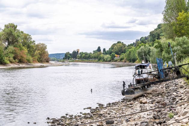 Low water levels on the Rhine near Rolandseck; the Bad Honnef ferry is diverting to a temporary ramp. Low water levels on the Rhine near Rolandswerth on the Rhine island of Nonnenwerth. With the water level at the Oberwinter gauge at 18 cm, ships attempting to dock are already running aground. The regular ferry ter Copyright: xMarcxJohnx