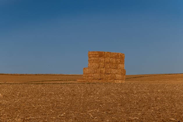 Straw bales in a harvested grain field under a blue summer sky, July 29, 2026, Selters; stock photo, illustrative image, symbolic image, illustrative photo, Everyday scene: A stack of rectangular straw bales stands in a harvested grain field in an open agricultural Copyright: x xW2Artx xThorstenxWagnerx