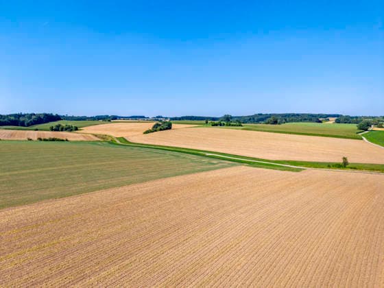 Harvested grain field, stubble field, summer, drought, climate change, aerial photograph, drone photograph, landscape, Bavaria, Germany Harvested grain field, stubble field