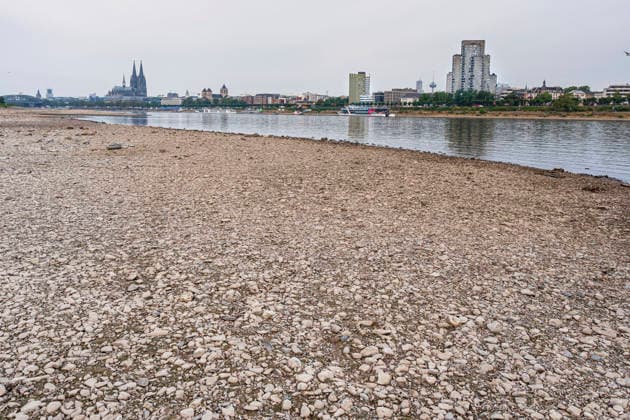 Low Water Levels on the Rhine in Cologne; Photo from August 31, 2026. Water levels on the Rhine are approaching record lows in some areas. In Cologne, a historic low is feared. The low water levels are having a massive impact on shipping; some cargo ships must reduce their cargo by more than half, and some passenger services are being canceled. EDITORIAL USE ONLY Copyright: epd-bild GuidoxSchiefer epd--Koeln_Niedrigwasser2-kopieren